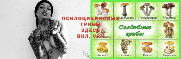 СК Вязьма