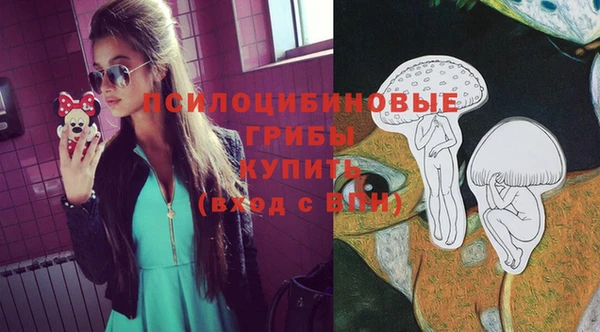 молекула духа Вязники