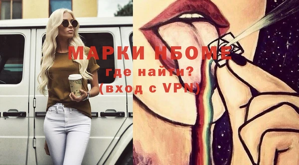 крисы Горняк