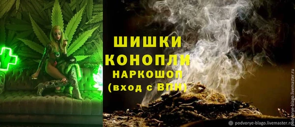 СК Вязьма